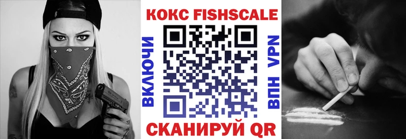 mega вход  Кинель  КОКАИН Fish Scale 