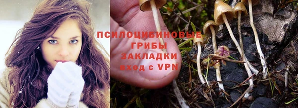 прущие крисы Алзамай