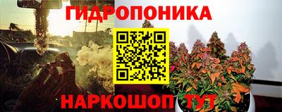 индика Краснокаменск