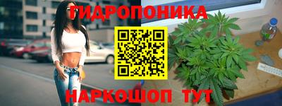 прущие крисы Краснодар