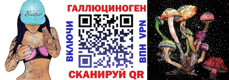Псилоцибиновые грибы Cubensis  Кинель 
